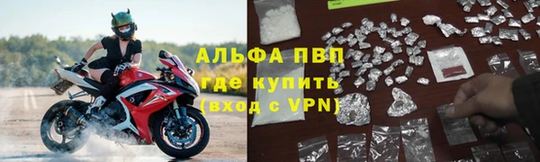 прущие крисы Алзамай